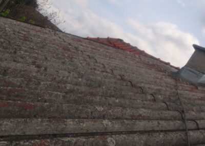 Čištění, nátěry a renovace střech Hradec Králové a celá ČR