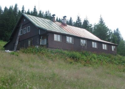 Čištění, nátěry a renovace střech Hradec Králové a celá ČR